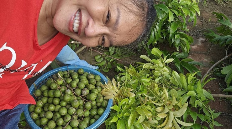 Vườn rau 3.500 m2 ven sông Hồng của diễn viên Tú Oanh - 7