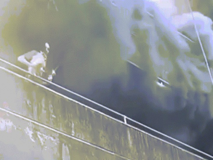 10 triệu người xem giải cứu cô gái và hai chú chó khỏi đám cháy