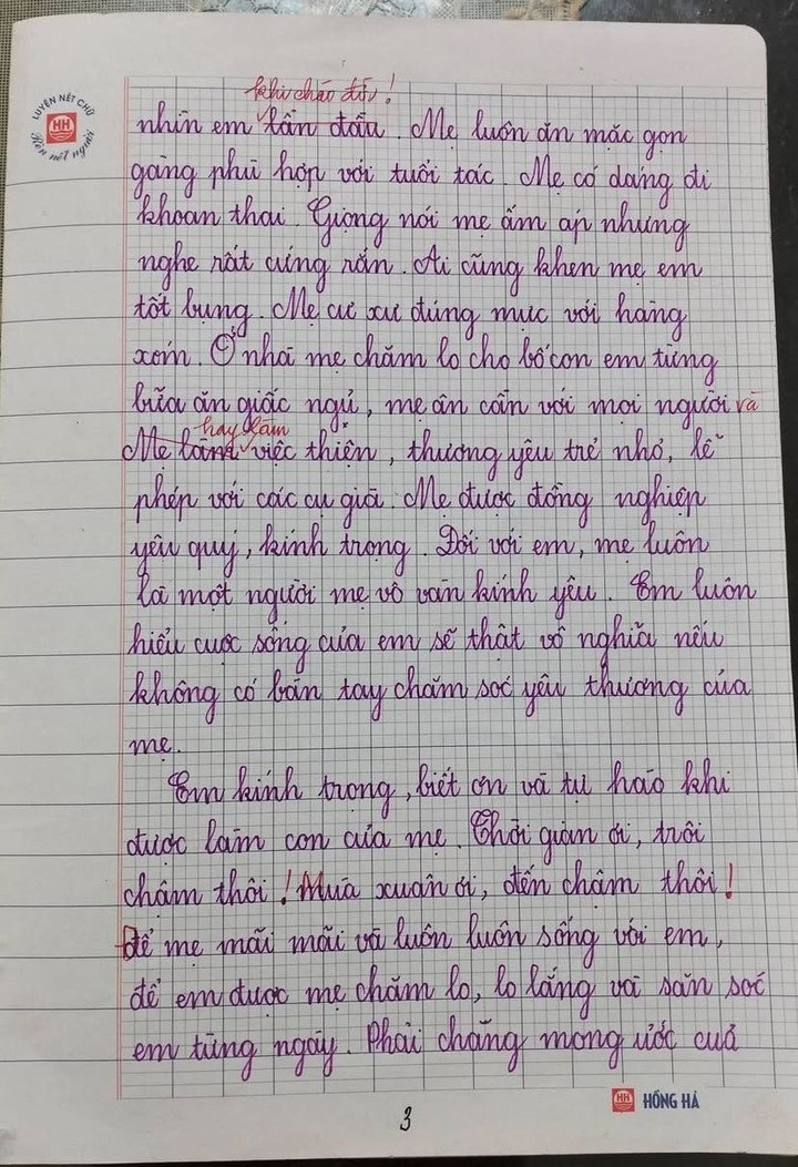 Những lời văn xúc động tả mẹ.