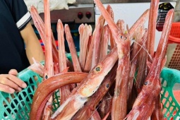 Loài cá màu đỏ cam, miệng nhọn hoắt trông như &quot;sát thủ&quot;, ai ngờ là đặc sản của một tỉnh ở Việt Nam