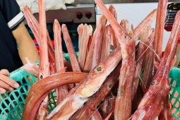 Loài cá màu đỏ cam, miệng nhọn hoắt trông như "sát thủ", ai ngờ là đặc sản của một tỉnh ở Việt Nam