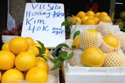 Vú sữa hoàng kim giá rẻ 'chưa từng có'