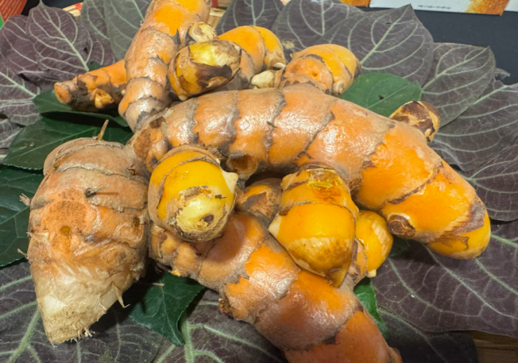 Dùng nghệ để chăm sóc dạ dày nhưng âm thầm khiến tình trạng nặng hơn. Ảnh: P.Thúy.