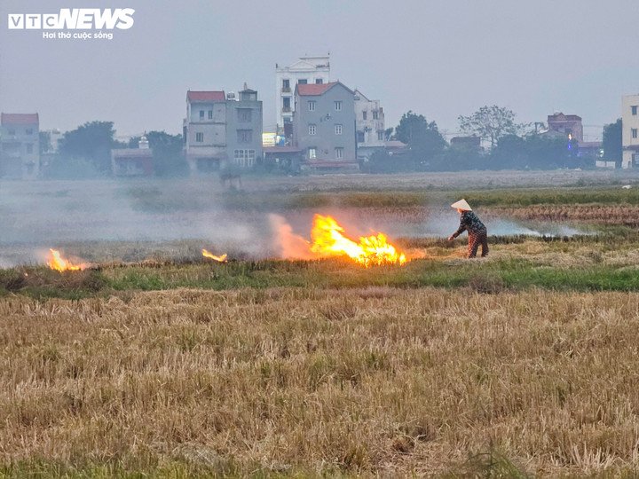 Việc đốt rơm rạ đã trở thành thói quen cố hữu của nhiều nông dân.