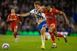 Trực tiếp bóng đá Liverpool - Brighton: Salah trở lại, liệu có đá chính không? (Ngoại hạng Anh)