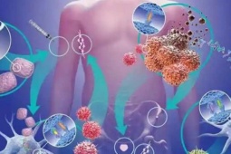 6 loại rau rẻ tiền, mùa đông người Việt nên ăn để ngăn ngừa tế bào ung thư