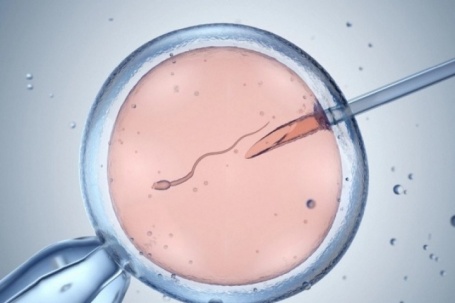 Gần 200 trẻ ở 14 nước châu Âu có chung một người bố mang gene gây ung...