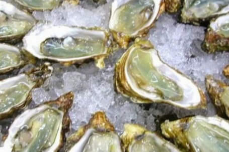 Những món ăn từ hàu siêu thơm ngon bổ dưỡng