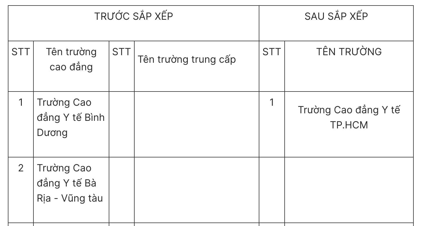 Chi tiết phương án sắp xếp, sáp nhập các trường công lập ở TPHCM - 1