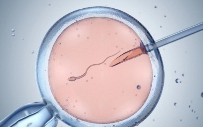 Gần 200 trẻ ở 14 nước châu Âu có chung một người bố mang ...