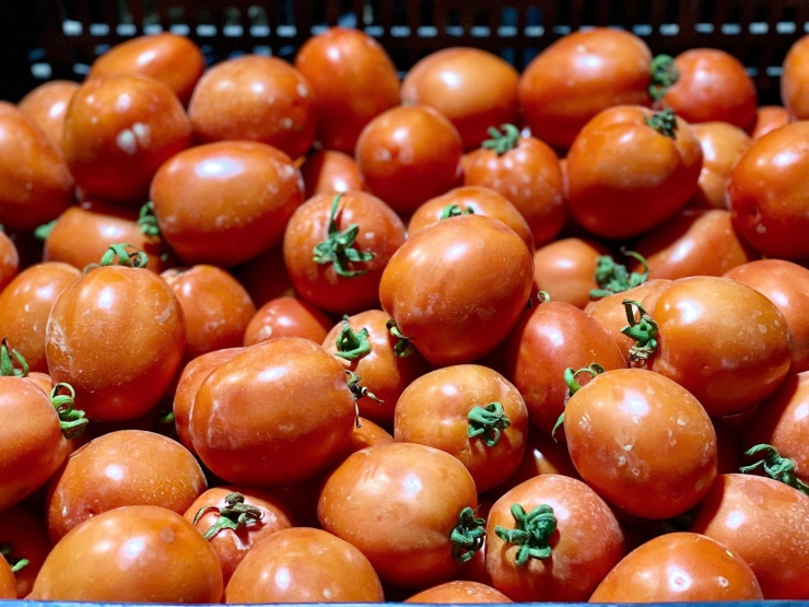 Giá cà chua tăng cao khiến nhiều người bất ngờ.