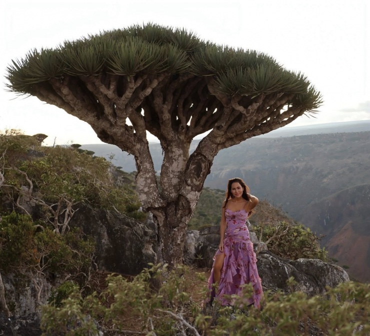 Những rừng cây huyết rồng là bối cảnh chụp ảnh ấn tượng