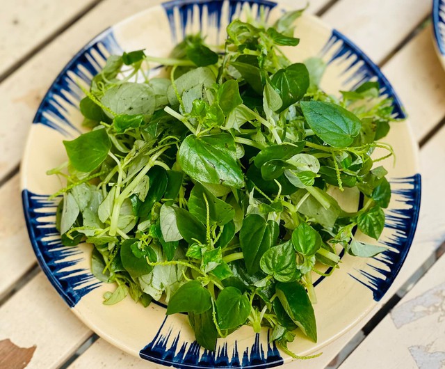 Rau càng cua hỗ trợ người mắc gout