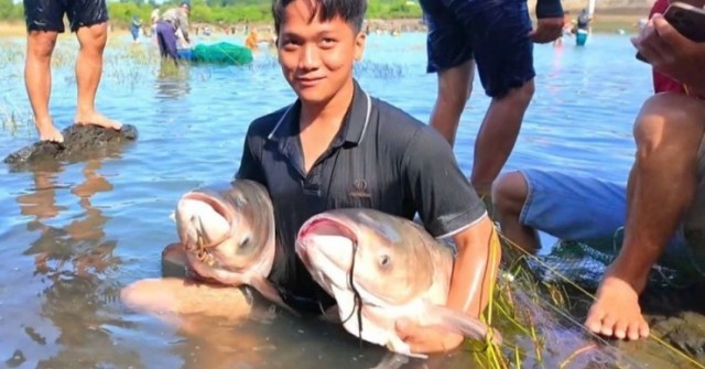 Người dân đổ xô vào Thuỷ điện Trị An bắt cá khủng