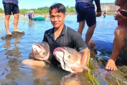 Người dân đổ xô vào Thuỷ điện Trị An bắt cá khủng