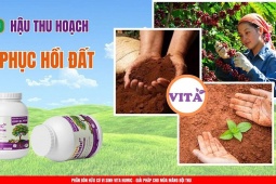 VITA HUMIC - Phân bón hữu cơ vi sinh thế hệ mới: Giải pháp chuyên biệt cho cây vàng lá, rễ yếu, không bung đọt, đất bạc màu