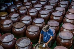 Người dân Ninh Bình tất bật làm nước mắm phục vụ thị trường Tết