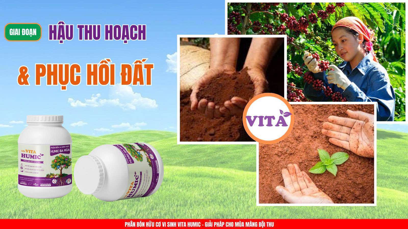 Phân bón hữu cơ vi sinh Vita Humic - Giải pháp chuyên biệt cải tạo đất bạc màu, nâng cao chất lượng đất