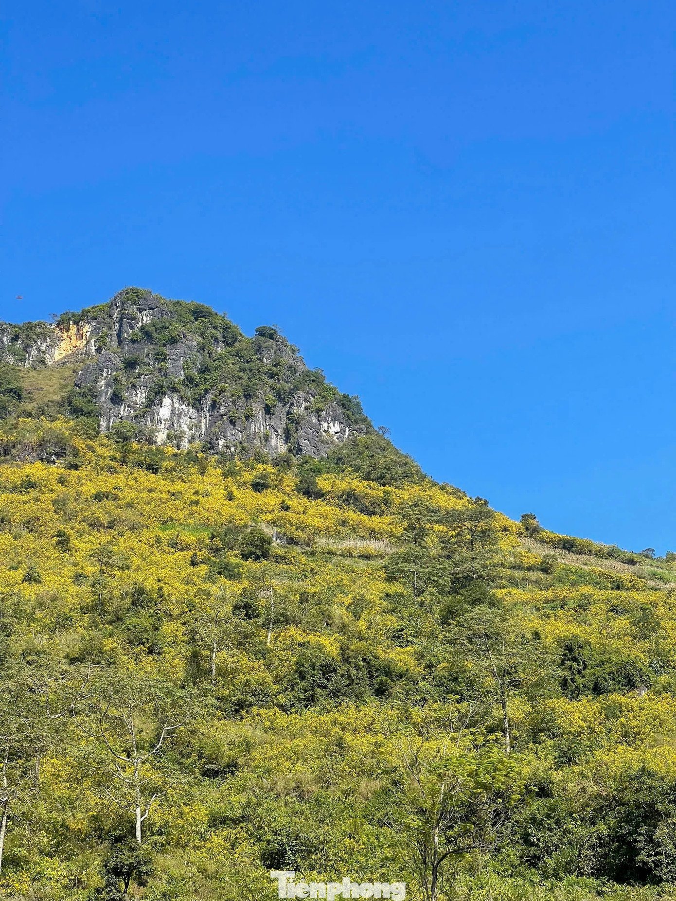 Tới Cao Bằng mùa này, du khách thốt lên: &#39;Đứng góc nào cũng có ảnh đẹp&#39; - 7