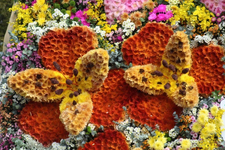 Check in 'cạn pin' với bó hoa ở Đà Lạt nặng 10 tấn, to nhất Việt Nam - 4