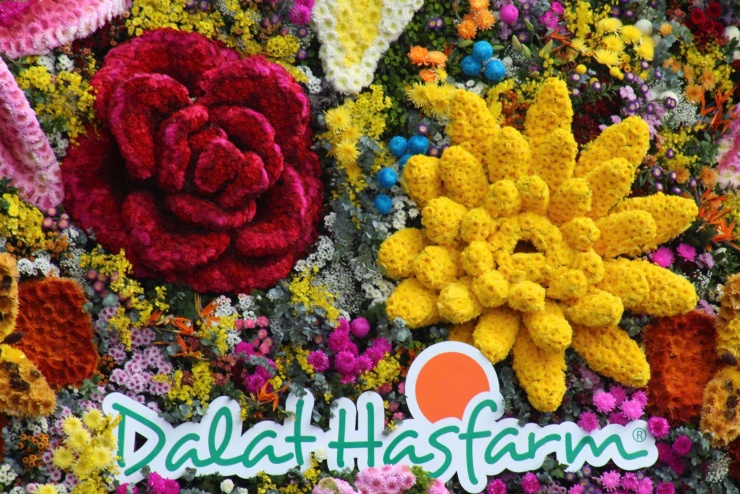 Rực rỡ sắc hoa tại xứ sở ngàn hoa.