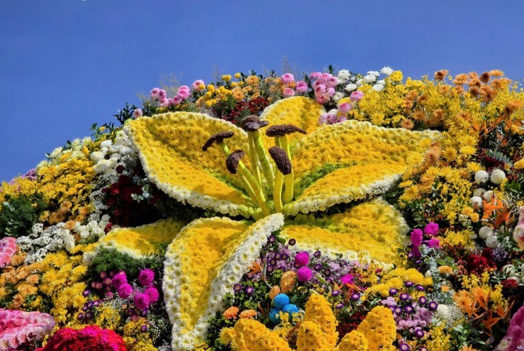 Ngắm bó hoa nặng 10 tấn, lập kỷ lục Việt Nam tại Đà Lạt