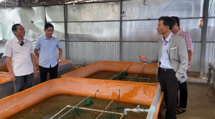 Anh Lê Văn Hột, nông dân nuôi lươn không bùn thành công trong bể composite giới thiệu về kinh nghiệm nuôi lươn, mật độ nuôi lươn từ 500 con đến 700 con/m2…