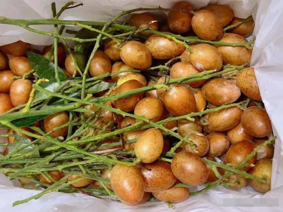 Loại quả bé tí nhiều người tưởng vô dụng lại tốt cho sức khỏe tim mạch và hỗ trợ làm đẹp da - 1