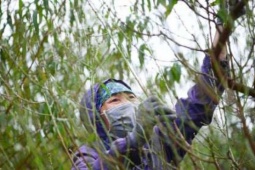 Đào Nhật Tân trút áo, Quất Tứ Liên vào thế chạy đua với Tết