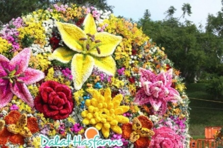 Check in 'cạn pin' với bó hoa ở Đà Lạt nặng 10 tấn, to nhất Việt Nam