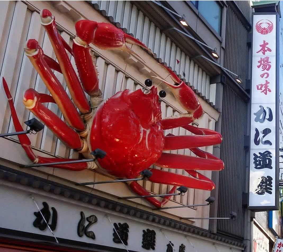 Hanoitourist và JNTO tiếp tục mở rộng chiến dịch quảng bá du lịch Nhật Bản đến với du khách Việt Nam - 3