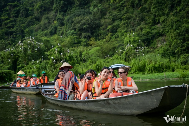 Mê hoặc khoảnh khắc hàng vạn chim hoang dã bay về tổ ở Ninh Bình - 10