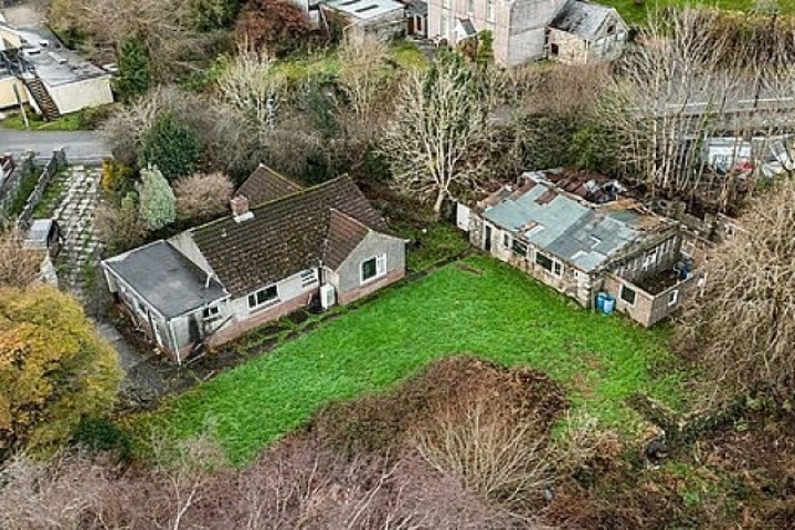 Cả thị trấn không bán được nhà vì loài cỏ lạ