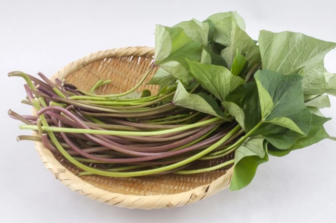 Rau lang khá phổ biến ở các nước châu Á như Việt Nam, Trung Quốc, Nhật Bản...