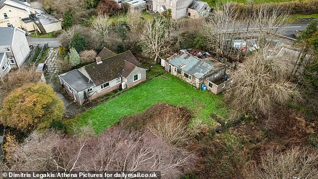 Ngôi nhà đang rao bán nhưng bị bao vây bởi cây cốt khí củ. Ảnh: Dailymail