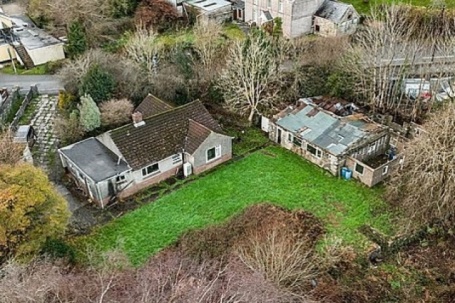 Cả thị trấn không bán được nhà vì loài cỏ lạ