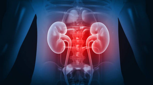 Những loại thực phẩm rất tốt nhưng ăn nhiều lại hủy hoại thận - 3