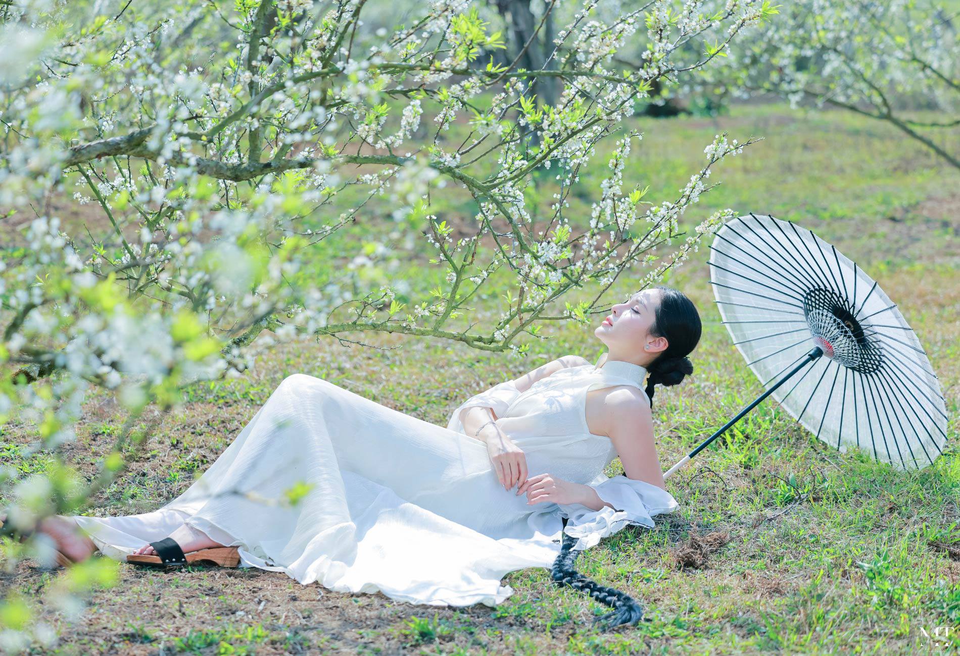 Ngỡ ngàng hoa mận trái mùa nở trắng sườn đồi Mộc Châu - 11