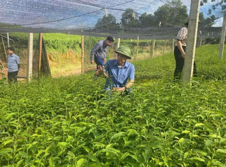 Lãnh đạo Đảng ủy xã Bình Thành đến thăm và nắm bắt tình hình sản xuất của Hợp tác xã Nông sản Phú Đạt. Ảnh: NVCC