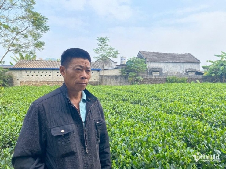 Ngày thường, ông làm thợ xây và cùng vợ chăm sóc đồi chè.&nbsp;