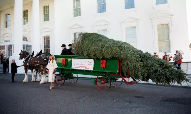Nhà Trắng trang hoàng chủ đề Giáng sinh đón khách tham quan - 1