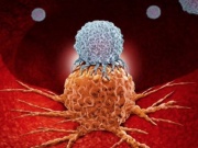 Tế bào ung thư sợ gì nhất?: Người Việt cần làm đúng và hiểu đúng để phòng bệnh