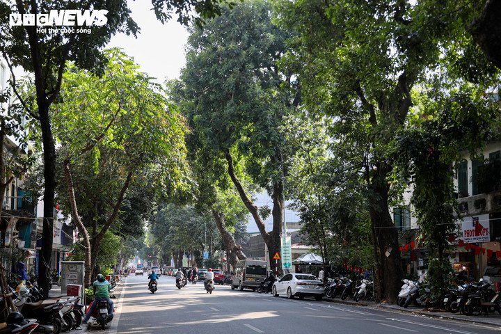 Cùng thuộc diện phải di dời để xây dựng Quảng trường – công viên phía đông Hồ Hoàn Kiếm, nhiều khu đất có diện tích lớn, mặt tiền đẹp đang kinh doanh khách sạn trên phố Lý Thái Tổ cũng gây xôn xao dư luận khi mức bồi thường chưa được công bố.