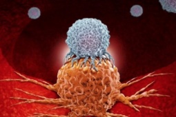 Tế bào ung thư sợ gì nhất?: Người Việt cần làm đúng và hiểu đúng để phòng bệnh