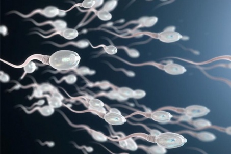 Cách cải thiện số lượng và chất lượng "tinh binh" trong mùa đông lạnh giá