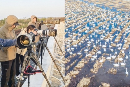 Việc nhẹ lương cao: Chụp 1 bức ảnh, ẵm ngay 61 triệu đồng