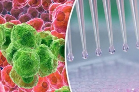 Tế bào ung thư sợ gì nhất?: Phát hiện nhiều 'điểm yếu' để loại bỏ tế...