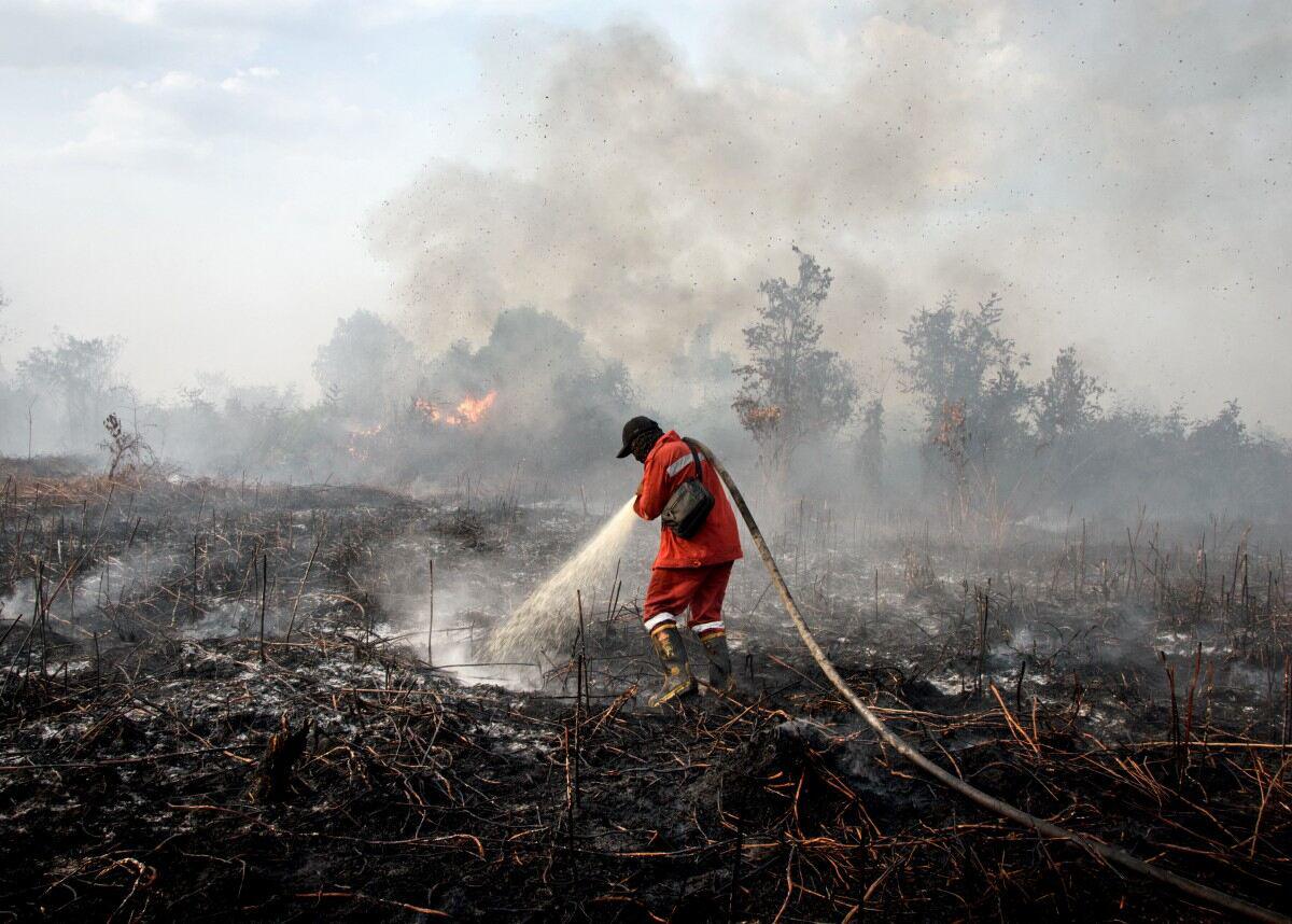 Bảo hiểm phải chi trả 107 tỷ USD năm 2025 vì thiên tai - 1