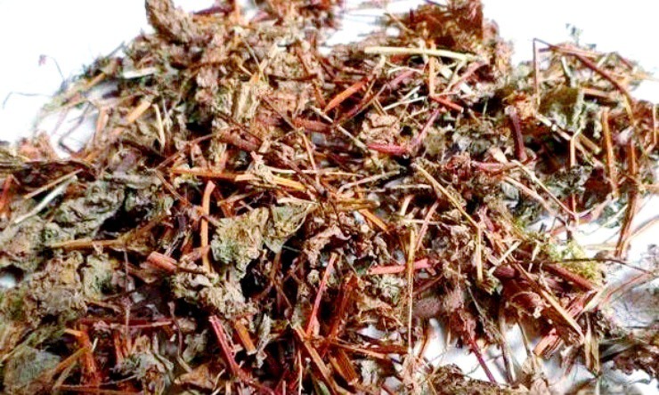 Cây dại đến rắn cũng sợ, ở nước ngoài bán gần 150.000đ/kg - 3