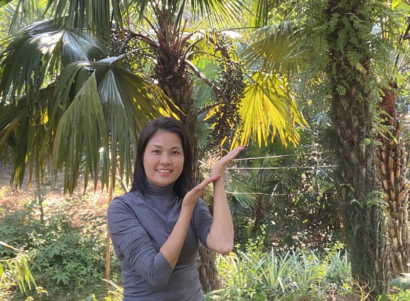 Chị Yến bên vườn cọ sai trĩu trịt. (Ảnh: Hải Yến).